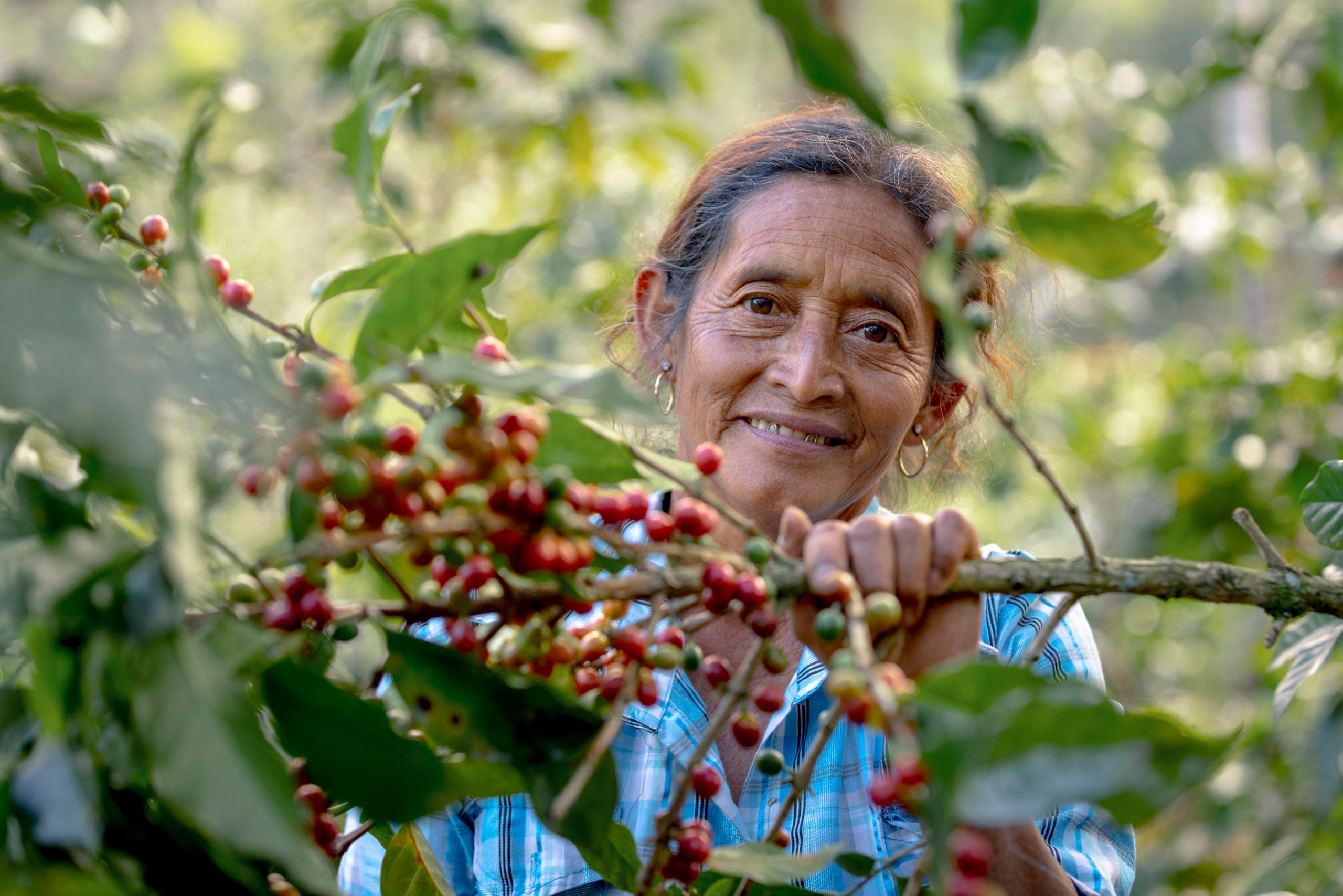 Coffee processing facility